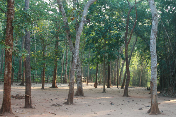 Maredumilli 1 Day tour package